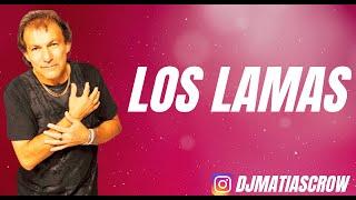 Los Lamas  -  Enganchados Hits  - Matias Crow Dj