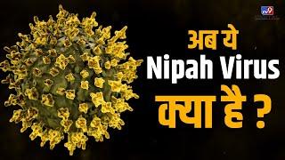 अब ये Nipah virus क्या है?  #tv9d