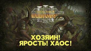 Зверолюды. Разбор фракций Total War Warhammer 3