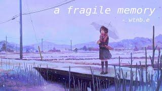 a fragile memory - wtnb.e