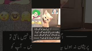 #jokes #Jokes in Urdu #Urdu Latefy #Funny Video #shorts #shortvideo