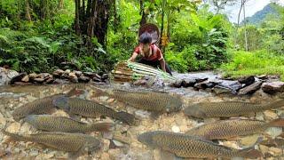 Primitive fishing skills. Make bamboo traps to catch fish. The boy caught many fish in the stream.