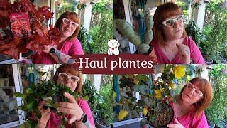 HAUL PLANTES JARDINERIE Baratet  Des plantes dintérieur et dextérieur bien sûr 