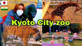 Visiting Kyoto City Zoo  Vinay Vlogs