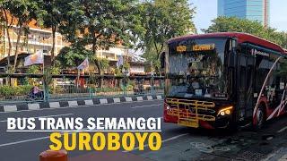 Trans Semanggi ‼ Suroboyo City Bus  from Pandegiling to West Surabaya Pakuwon