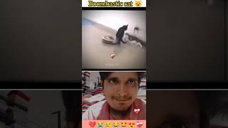 Boombastic Cat lover  #trending #viral #boombastic #shortsvideo #youtubeshorts #shorts