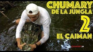 Chumary de la jungla en busca de el caiman de la jungla - Frank de la jungla chumary jr youtube