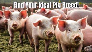 Choosing the Perfect Pig Breed for Your Farm