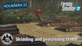 MAKING THE BIGGEST LANDING EVER?  FS22  Forestry  Holmåkra 22  Timelapse  E12