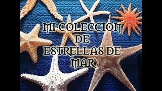 Mi colección de Estrellas de Mar LEER DESCRIPCION