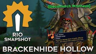 Make This Boss MUCH Easier in Brackenhide Hollow - RIO Snapshot