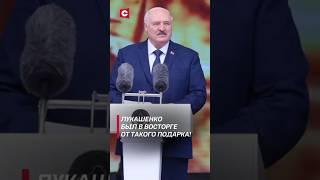 Лукашенко подарили лошадь древней полесской породы #лукашенко #политика #новости #беларусь #shorts