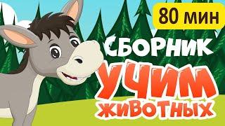 СБОРНИК Развивающие мультики про животных для детей