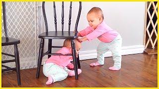 Best Videos Of Funny Twin Babies Compilation  5-Minute Fails