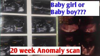 Anomaly scan in pregnancy20 week ultrasound report in detailBaby boy or baby girl myth ki sachai