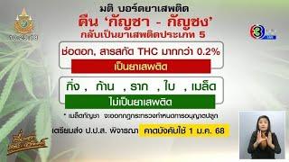 มติบอร์ดยาเสพติดฯ คืน ‘กัญชา-กัญชง’ กลับเป็นยาเสพติด จ่อชง ปปส.ออกกฎคุม คาดใช้ทัน 1 ม.ค.68