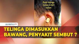 Penyakit Sembuh Tempel Bawang Putih ke Telinga ? HOAX?