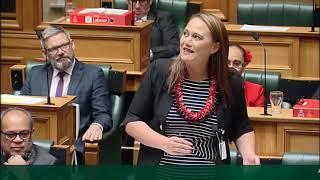 Adjournment Debate - Video 8