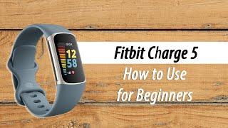 How to Use the Fitbit Charge 5 for Beginners  New User Guide