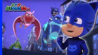 Thieves in the Night Caught  PJ Masks