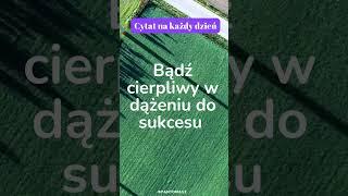 Bądź cierpliwy w dążeniu do sukcesu  - Cytat na każdy dzień