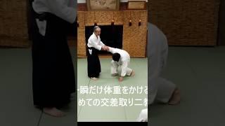 脱力すればするほど技は効く #shorts #合気道 #aikido #里山合気会