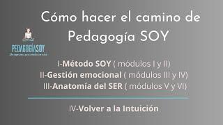 ¿Qué es Pedagogía SOY? ¿ De que trata la formación cada encuentro y sus módulos.