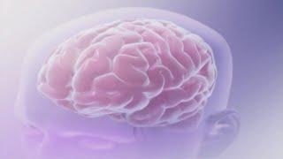 Understanding the effects of drugs on the brain A look at the damage and potential for treatment