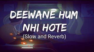 Deewane Hum Nahi Hote Slow and Reverb  Lofi  Hindi - Slow and Reverb songs  Lyrical Audio