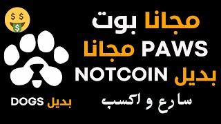 حصريا بوت PAWS مجانا  بديل DOGS - NOTCOIN