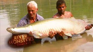 The BIGGEST Arapaima Jeremy Wade Has EVER Caught  ARAPAIMA  River Monsters