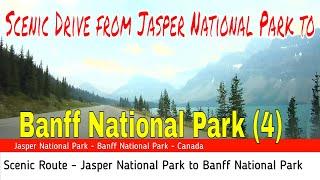 Scenic Drive from Jasper National Park to Banff National Park 4