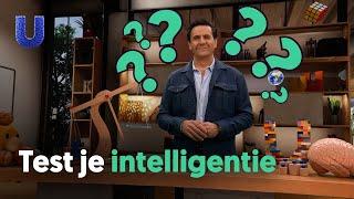 Wanneer ben je intelligent?