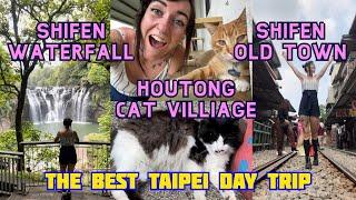 Taiwan Cat Village  Shifen Waterfall  Sky Lanterns  ULTIMATE Taipei Day Trip  Travel VLOG