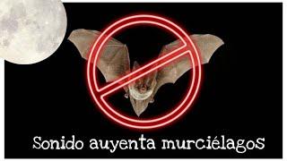  SOUNDS and FREQUENCY to⭐GET RID OF pr DRIVE AWAY ⭐   BATS   with ULTRASOUND