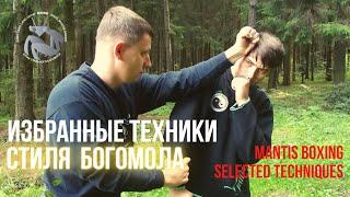 Избранные техники стиля богомола Mantis Boxing Selected Techniques