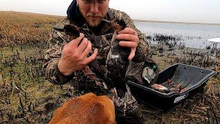 South Dakota public pond duck hunt