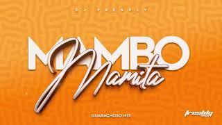 DJ Freshly - Mambo Mamita Pa Pistear Mix