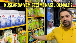 Kuşlarda Yem Seçimi Nasıl Olmalı ?