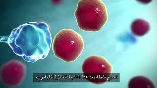 كيفيه عمل الجهاز المناعي - مترجم How immune System work- Immune Response