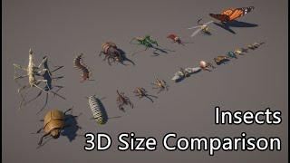 Insect size comparison 3D  Largest insect