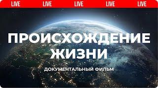 Происхождение. Как появилась жизнь на планете Земля?  Мифы эволюции  Live