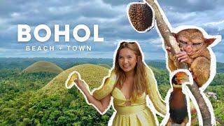 BOHOL 2023 DIY affordable Itinerary Danao Adventure Park + The Mist 