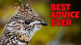 Best Ruffed Grouse Hunting Advice I Ever Got THE PEEP