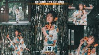 Cinematic Twilight Dark Tone  Camera Raw Free Preset  Color Grading Photoshop Tutorial