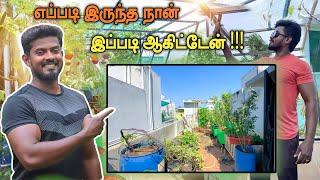 அட்டகாசமா ரெடியான நம்ம மாடித்தோட்டம்   TERRACE GARDEN NEW UPDATES  GARDENING