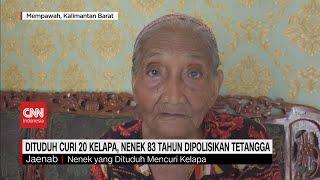 Dituduh Curi 20 Kelapa Nenek 83 Tahun Dipolisikan Tetangga