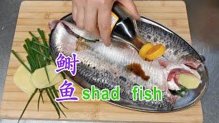 行家说这才是北美鲥鱼最好吃的做法 American Shad