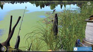 FISHING PIKE WITH LIVE BAIT  NEW SPOT - OLD BURG LAKE