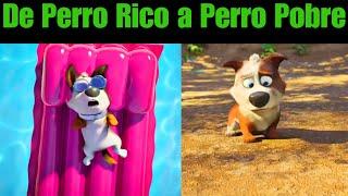 La Pelicula de Travieso el perro millonario